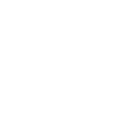 Delivery