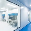 A hallway with a view of clean rooms featuring biological safety cabinets and medical apparatuses in a facility
